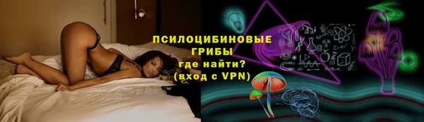 стафф Бронницы