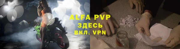 стафф Бронницы