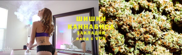 спайс Бородино