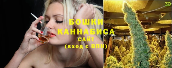 стафф Бронницы
