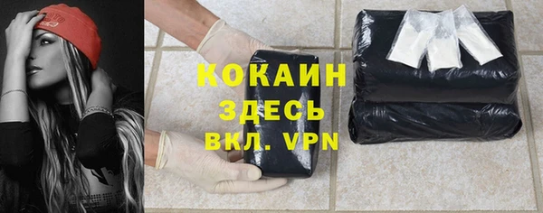спайс Бородино